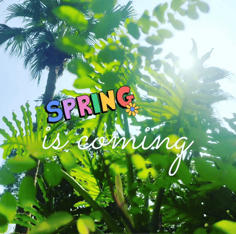 Spring GIF
