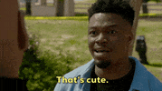 Ll Cool J Densi GIF by CBS