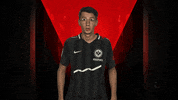 Eintracht Frankfurt No GIF by Bundesliga