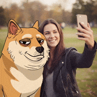 Happy Shiba Inu GIF by Doge Pound