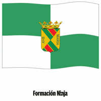 Castilla Y Leon Bandera GIF by Formación Ninja