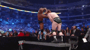 wwe sports wwe wrestling 2010 GIF