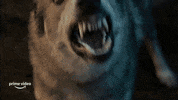Wot Wheel Of Time GIF by BarkerSocial