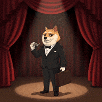 Watching Shiba Inu GIF by Doge Pound