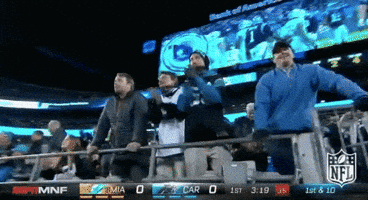 carolina panthers football GIF by NFL