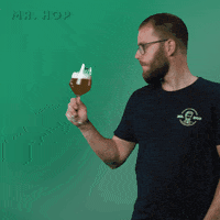 Beer Bier GIF by Mister Hop