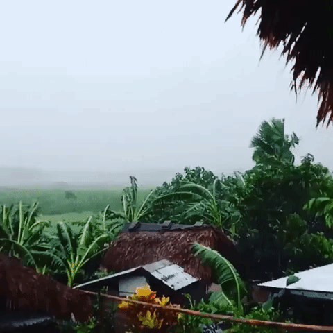 Strong Wind From Tropical Storm Molave Bends Trees in Philippines