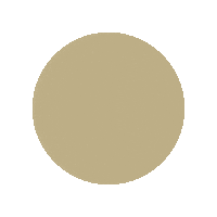 Century21 C21 Sticker by Century21Australia