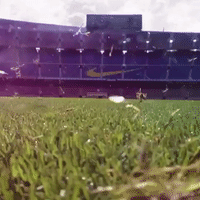 vinefcb GIF by FC Barcelona