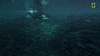 Nat Geo Ocean GIF by National Geographic TV