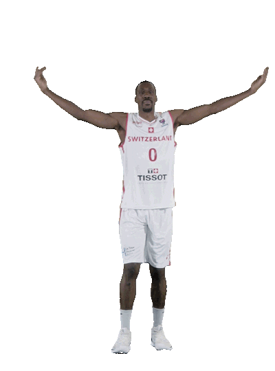 Crowd Sticker by Swiss Basketball