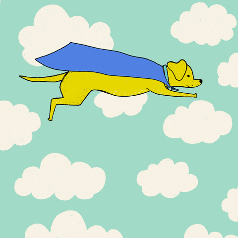 katievaz giphyupload dog flying dog super dog GIF