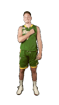 Proud Basketball Sticker by ACSL - Austrian College Sports League