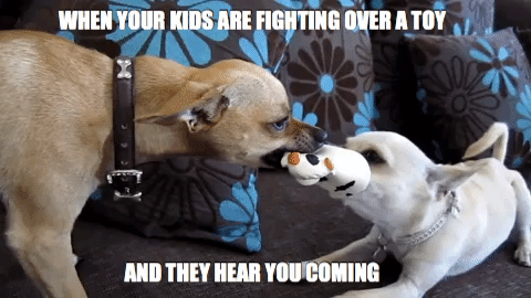 siblings motherhood GIF