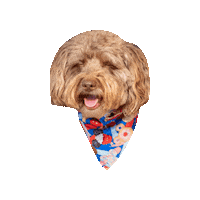 Smiling Dog Sticker by Geekster Pets