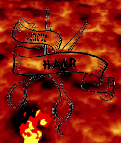 GIF by Circus Hair