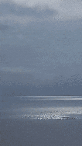 Simongip giphyupload GIF