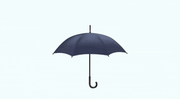 KarolineSofie umbrella lalune lalunedk GIF
