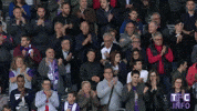 ligue 1 applause GIF by Toulouse Football Club