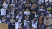 ligue 1 soccer GIF by Toulouse Football Club
