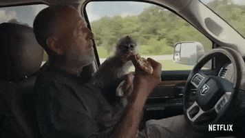 Netflix GIF