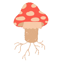 Mushroom Mycelium Sticker