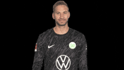 Germany No GIF by VfL Wolfsburg