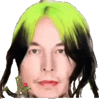 Billie Eilish Tesla Sticker