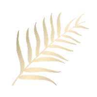 Summer Leave Sticker by Coats