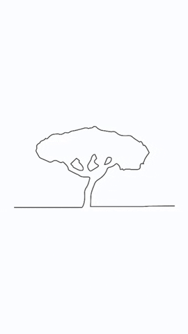 GIF by Office de Tourisme d'Istres