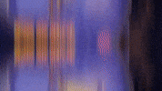 Flip Trick GIF by Ringling Bros. and Barnum & Bailey