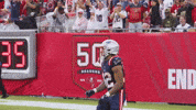 Football Celebration GIF by New England Patriots