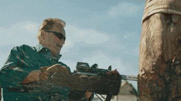 Arnold Schwarzenegger Success GIF by LIDL Official