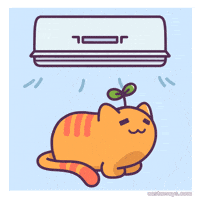 Air Conditioning Cat GIF by Castaways
