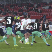 Frustrated Three Lions GIF by England