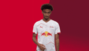 Football Soccer GIF by RB Leipzig