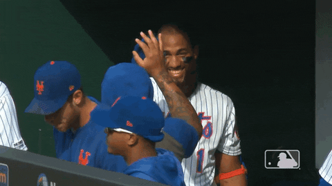 High Five Ny Mets GIF by New York Mets