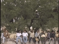 tv azteca mexico GIF