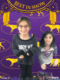 wkcdogshow GIF by Westminster Kennel Club