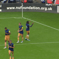 Newcastle United Sport GIF by Newcastle United Football Club