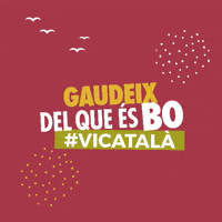 vicatala wine vino vi vicatalà GIF