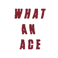 Sc Ace Sticker by Santa Clara Broncos
