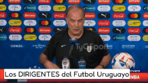 World Cup Argentina GIF