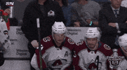 angry ice hockey GIF by NHL