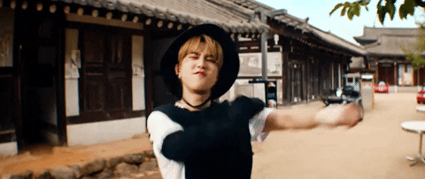 Skz 스트레이키즈 GIF by Stray Kids