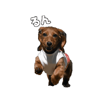 infkennel giphygifmaker Sticker
