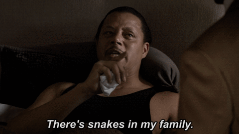 fox broadcasting snakes GIF by Empire FOX