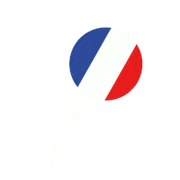 Made In France Sticker by Man's Beard