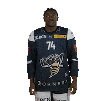 hcclachauxdefonds hockey lucas hcc 74 Sticker