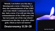 King James Read The Bible GIF